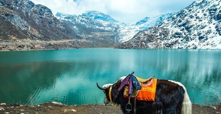 3N | 4D - The Magical Gangtok Tour