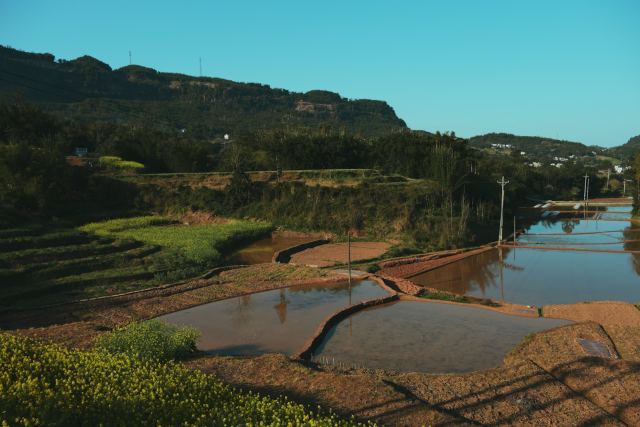 Alila Diwa Goa — the surrounding landscape at Majorda, South Goa