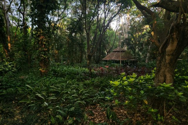 Bandipur Safari Lodge — dining
