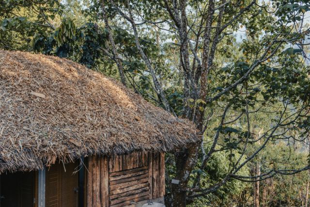 Bandipur Safari Lodge — The Elephant Room