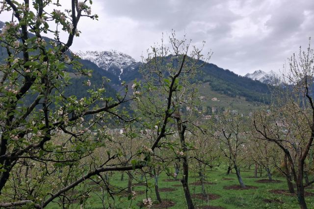 Banjara Camp & Retreat, Sangla — the surrounding landscape at Sangla Valley, Kinnaur district, Himachal Pradesh, 2,700m
