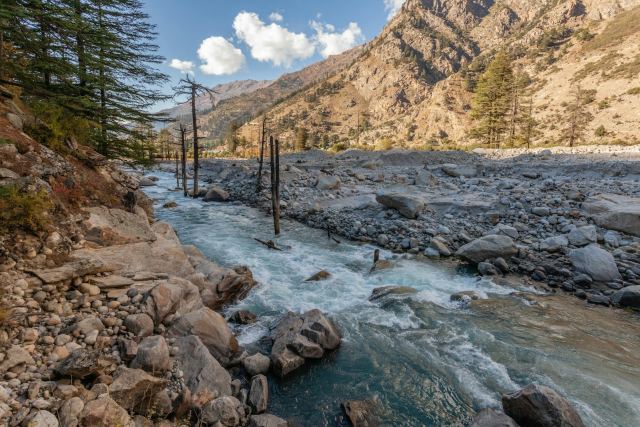 Banjara Camp & Retreat, Sangla — grounds and approach