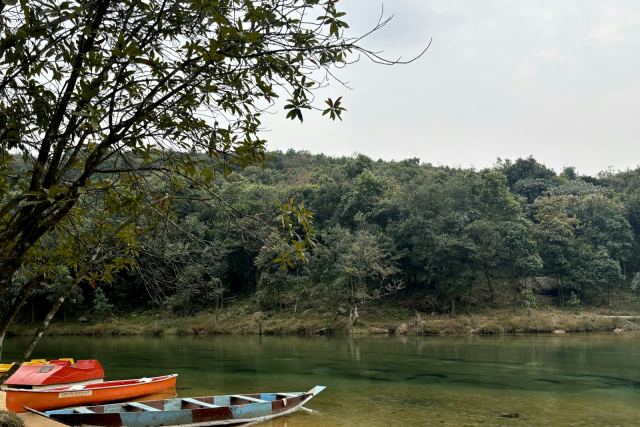 Betelnut Resort, Shnongpdeng — Single Room