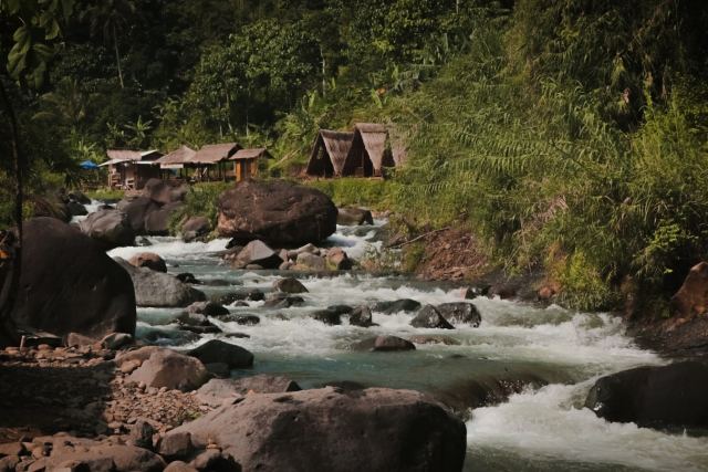 Betelnut Resort, Shnongpdeng — grounds and approach