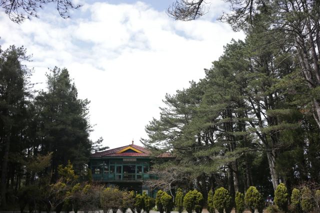 The Chail Palace — grounds and approach
