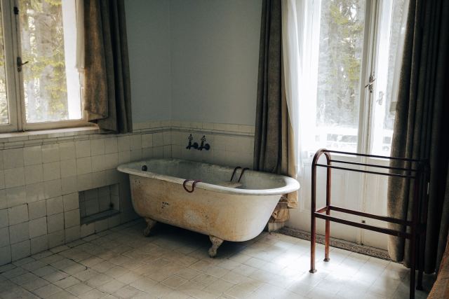 The Chail Palace — room interiors