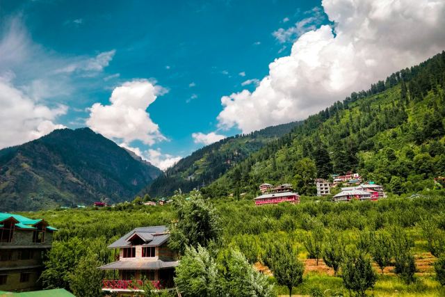 The Chinar Resort & Spa — pool and outdoor spaces