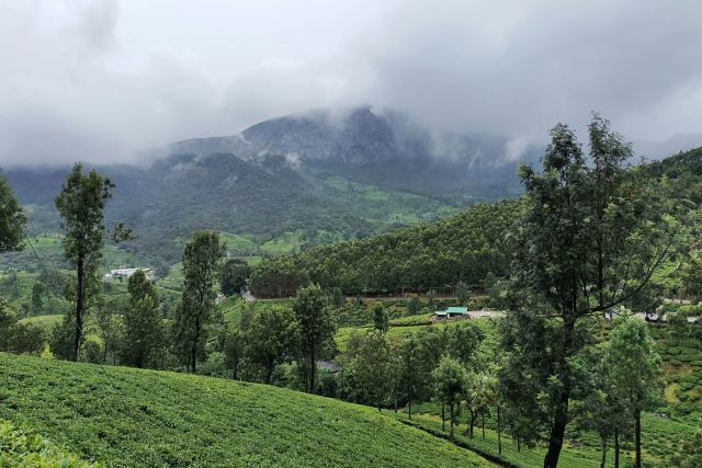 Evolve Back, Coorg — the surrounding landscape at Coorg (Kodagu) — Karadigodu, near Siddapur