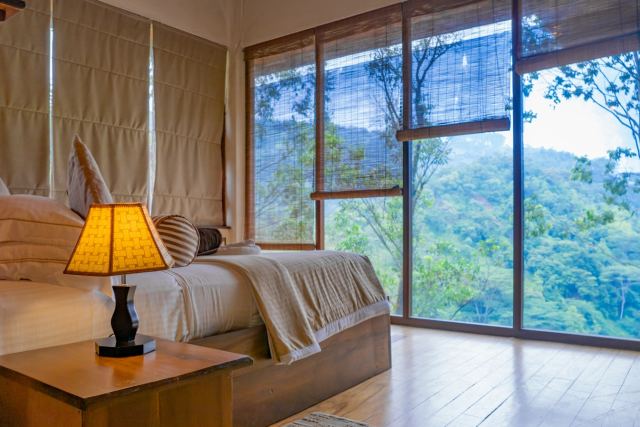 Evolve Back, Coorg — pool and outdoor spaces