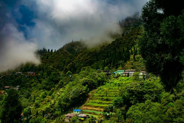 Glenburn Tea Estate — Villa exterior at Rungmook-Cedars, Rangli Rangliot, Darjeeling district, above the Rangeet river