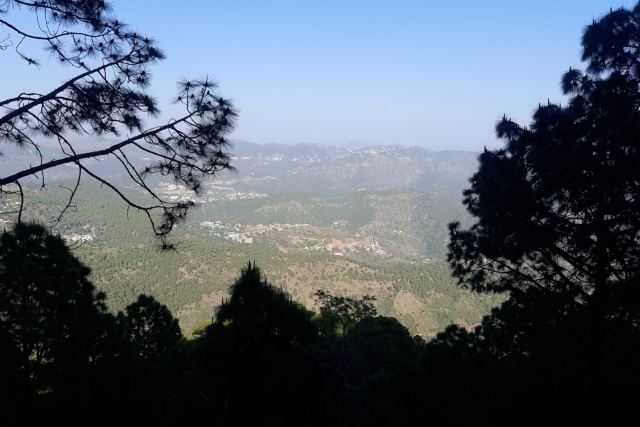 Glenview Resort Kasauli — grounds and approach