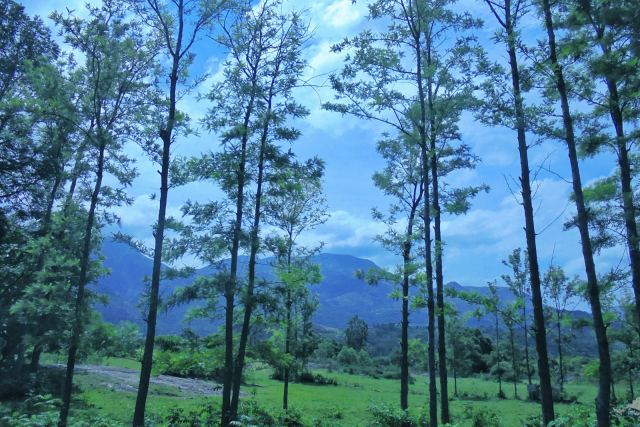 Kasa Resort — the surrounding landscape at Hapoli, Ziro Valley