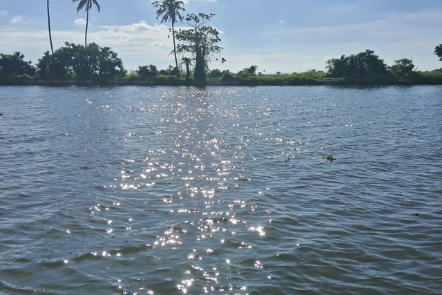Kumarakom Lake Resort — grounds and approach
