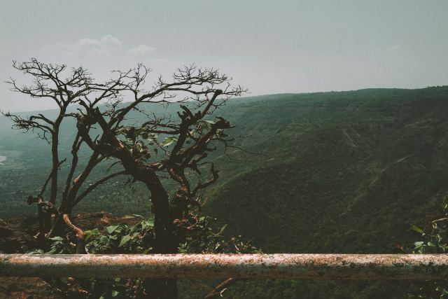 Le Méridien Mahabaleshwar Resort & Spa — grounds and approach