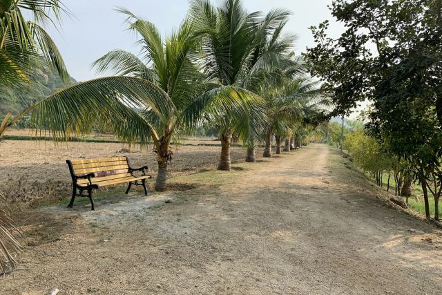 Lohono Stays Goa — surrounding landscape