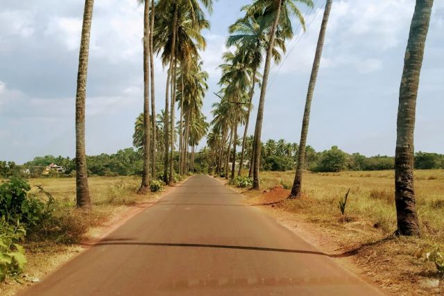 Lohono Stays Goa — the surrounding landscape at Siolim / Assagao / Moira, North Goa