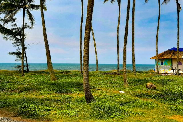 Marari Beach Resort, a CGH Earth Experience — Resort exterior at Mararikulam, near Alleppey