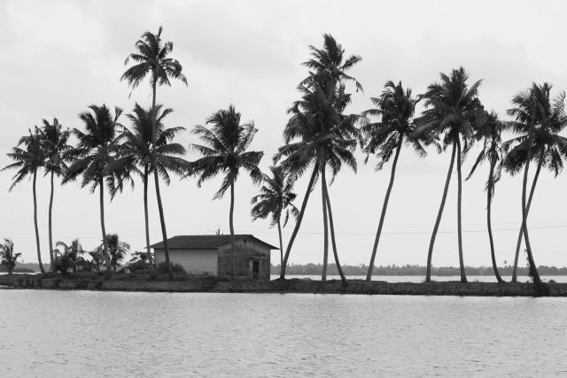 Marari Beach Resort, a CGH Earth Experience — grounds and approach
