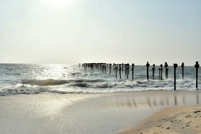 Marari Beach Resort, a CGH Earth Experience — surrounding landscape