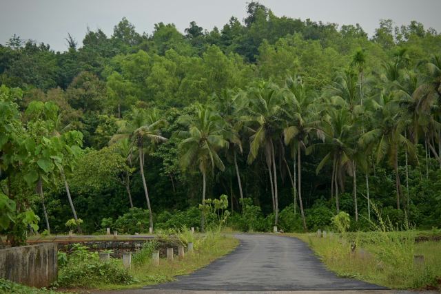 Niraamaya Retreats Surya Samudra — pool and outdoor spaces