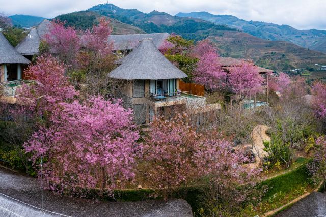 Polo Orchid Resort, Cherrapunjee — Log Hut with Plunge Pool