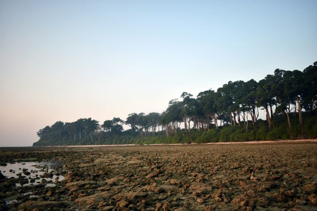 Sea Shell Resort & Spa, Havelock — the surrounding landscape at Beach No. 2, Govind Nagar, Havelock (Swaraj Dweep)