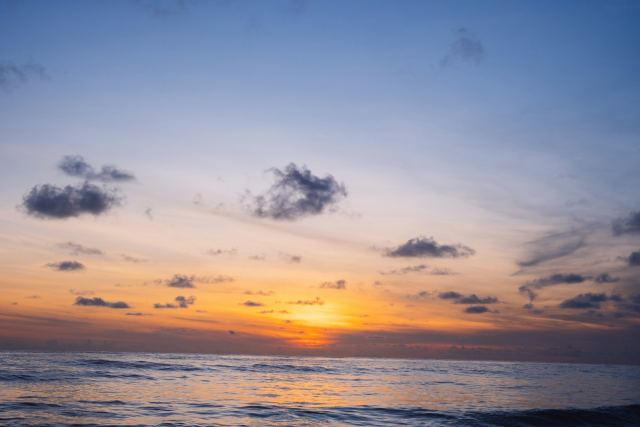 Sea Shell Resort & Spa, Havelock — dining