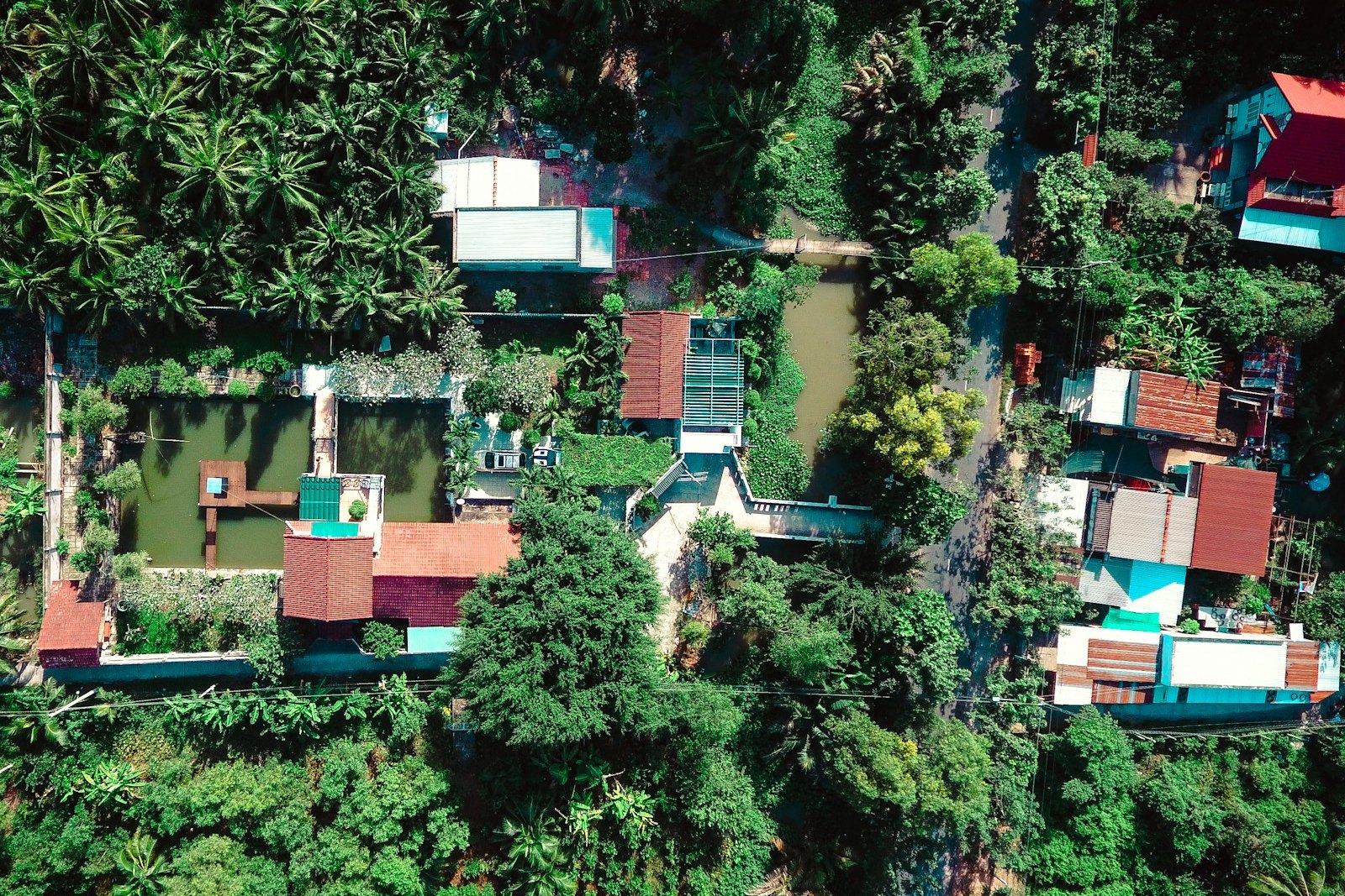 Spice Village, a CGH Earth Experience — Resort exterior at Kumily, Thekkady, Periyar Tiger Reserve