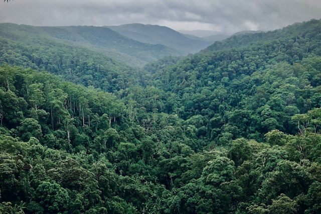 Taj Madikeri Resort & Spa, Coorg — the surrounding landscape at Coorg — Galibeedu, near Madikeri