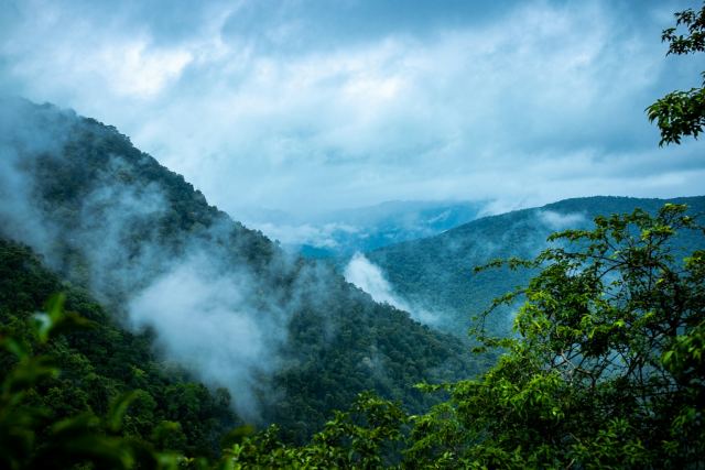 Taj Madikeri Resort & Spa, Coorg — surrounding landscape