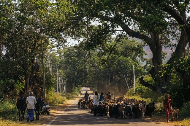 The Serai Chikmagalur — dining