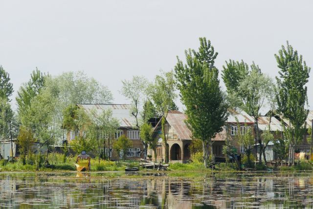 Vivanta by Taj – Dal View, Srinagar — pool and outdoor spaces