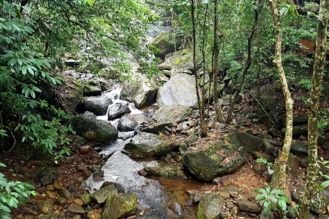 Vythiri Resort — the surrounding landscape at Lakkidi, Vythiri, Wayanad