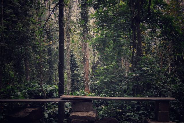 Vythiri Resort — dining