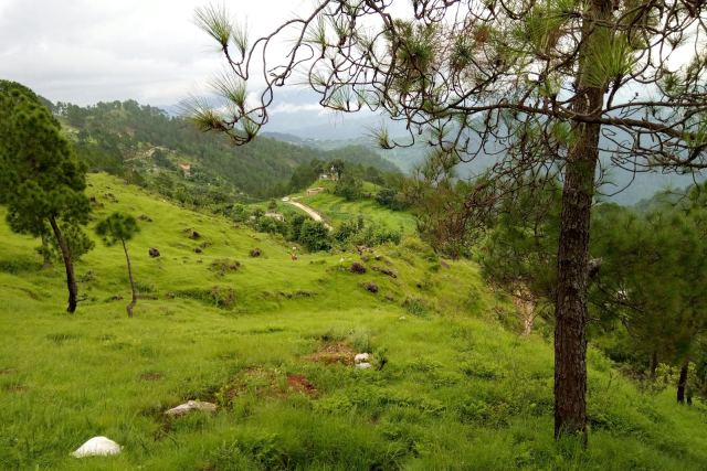 Welcomhotel by ITC Hotels, Pine n Peak — surrounding landscape