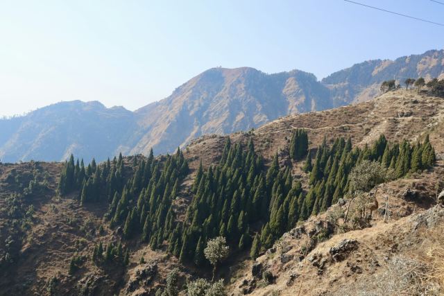 Welcomhotel by ITC Hotels, Pine n Peak — the surrounding landscape at Rajwas Plateau, Pahalgam, 2,130m